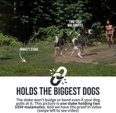 SÄKER  Dog Tie Out Stake - Holds 2 Large Dogs over 207lbs Easily - Lifetime Replacement - Heavy Duty Strongest Dog Anchor | Large Dog Stake for Peace of Mind in the Yard, in Camping or at the Beach